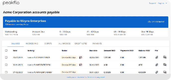 Payer Portal Balance Tab