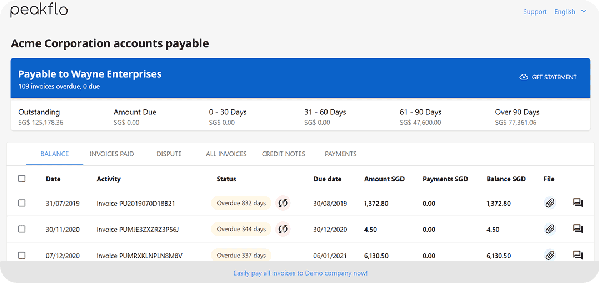 Payer Portal Balance Tab